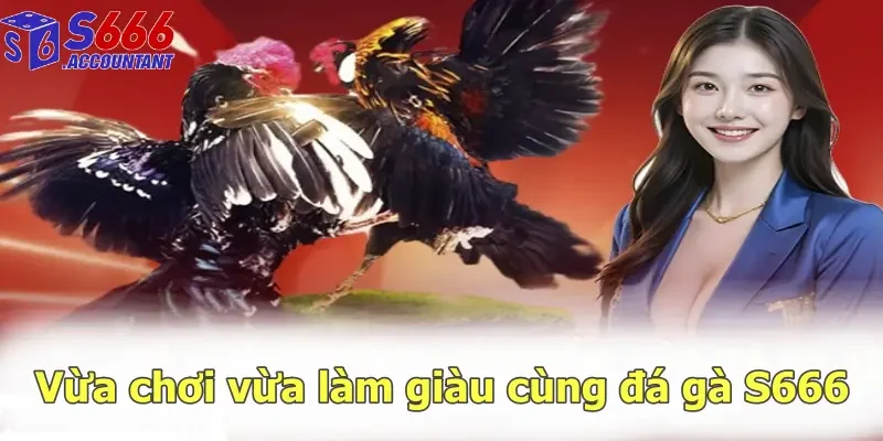 Vừa chơi vừa làm giàu cùng đá gà S666